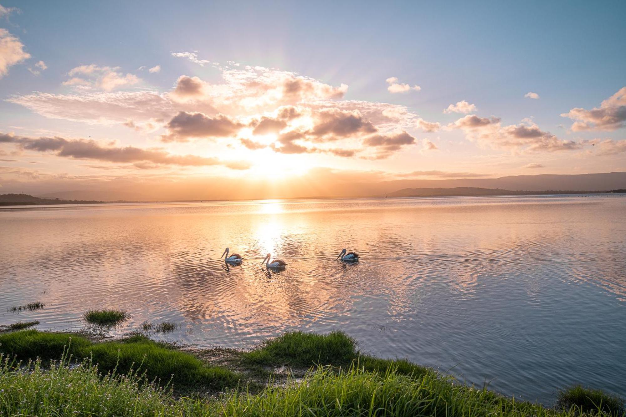Lakeside Inn Wollongong Primbee Dış mekan fotoğraf